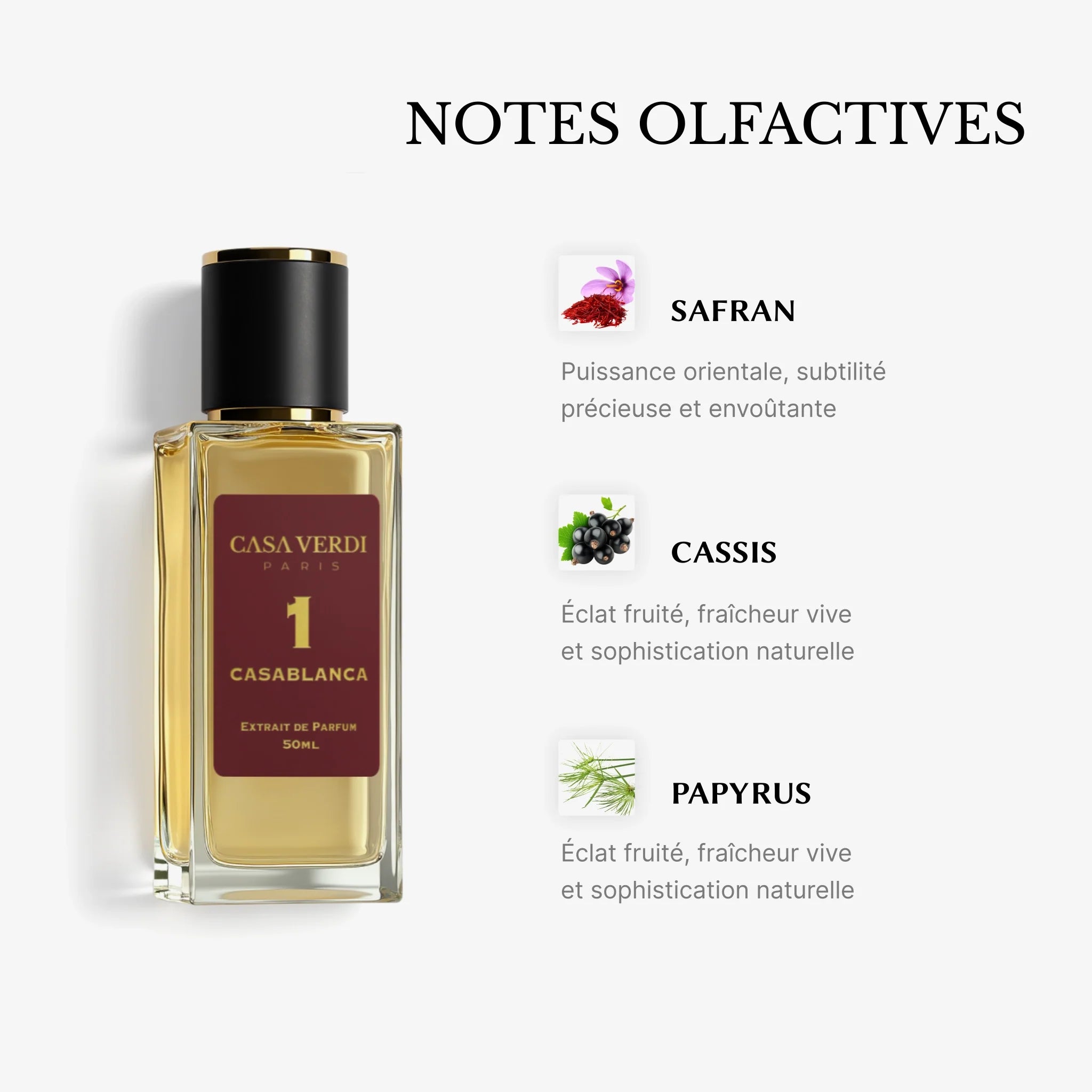 Casablanca - BelleFrag