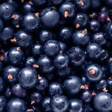 Schwarze Johannisbeere