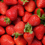 Erdbeere