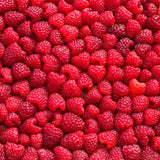 Himbeere