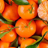 Mandarine